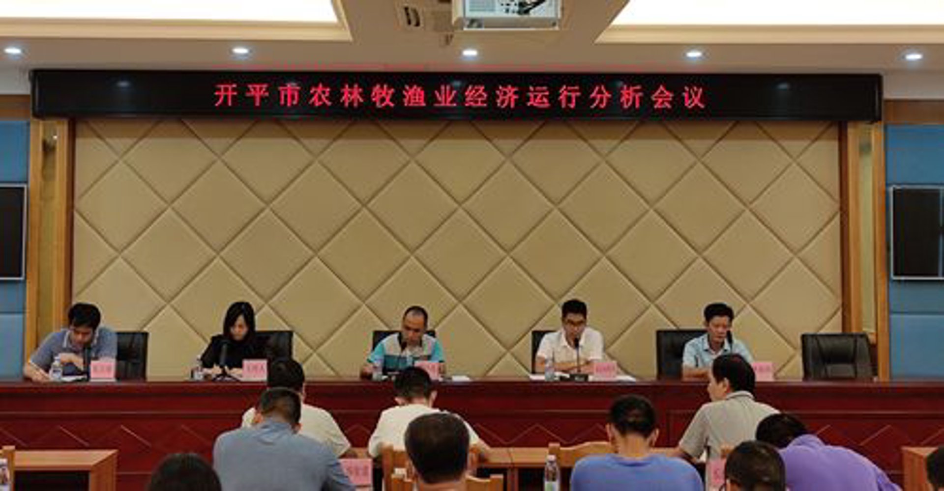 厦门蔓芥农业